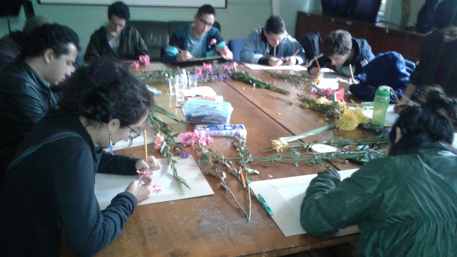 TALLER DE DIBUJO BOTANICO. Catedra Caldas Asab. 2017